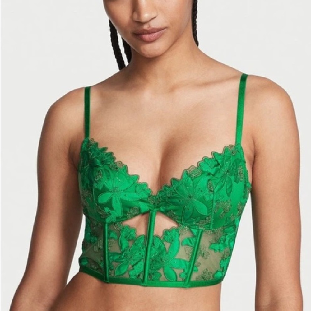 NWT Victoria’s Secret Very Sexy Ziggy Glam Embroidered Corset